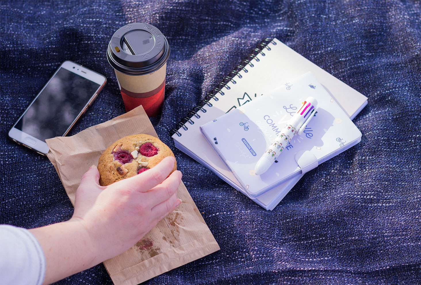 La panoplie nécessaire au premier bilan de formation : l'agenda, le carnet, le crayon, le téléphone, le cookie et le café, sur un plaid gris chiné