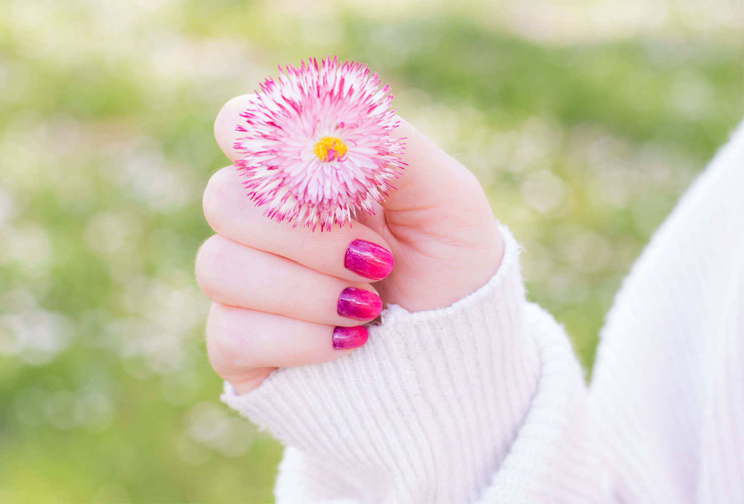 Résultat du nailart dégradé réalisé avec les vernis SO'BiO étic une fleur dégradée rose et blanche dans la main de la même couleur