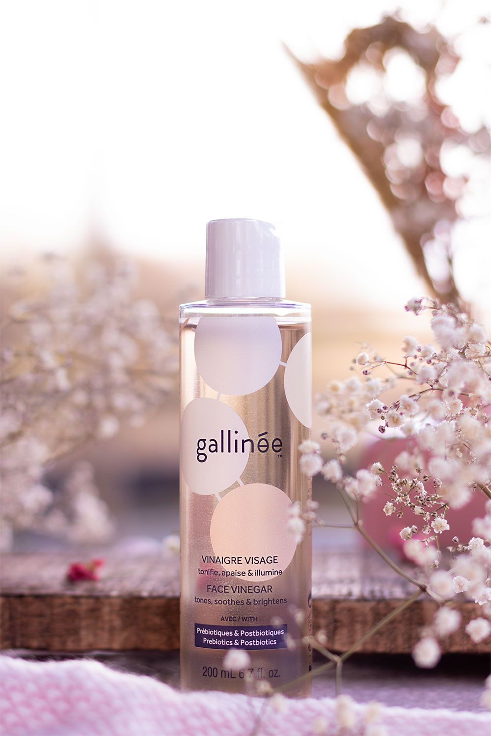 Le vinaigre visage de Gallinée posé sur un plaid rose, au milieu des fleurs séchées devant une planche en bois