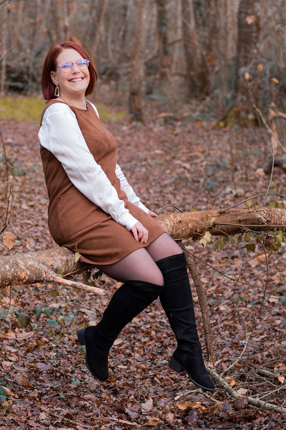 Assise en robe marron en velours sur une branche de bois au milieu de la forêt